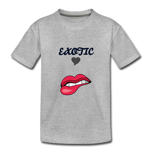 Toddler Premium T-Shirt - heather gray